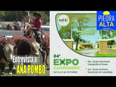 EDICIÓN N°84 DE LA EXPO CAMPANERO EN LAVALLEJA