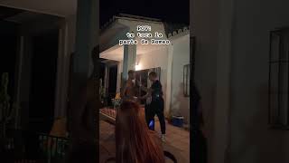 Fake o real?😂 #short