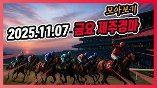 2025년 11월 7일 금요 제주경마 전체경주 모아보기