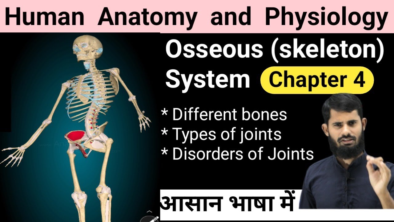 Human Anatomy and physiology chapter 4 || Osseous system || Skeleton System || disorders of Joints