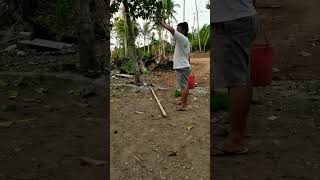 Download lagu wes angel, angel temen tuturanmu #shortvideo #shorts #viral#viralvideo #shortsvideo #fyp mp3