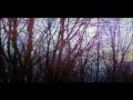 Cyrenic - Immune (Feat. Adria Zuckerman) Jimmie ...
