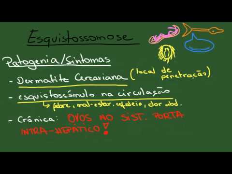 Esquistossomose - Resumo - Parasitologia
