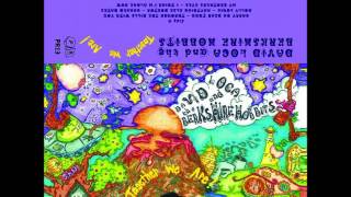 David Loca & The Berkshire Hobbits - Together We Are! *FULL ALBUM*