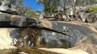 Download lagu Lyrebird Song and Tinkling Cascades. 8 Hours for Sleep, Relaxation, Meditation. mp3
