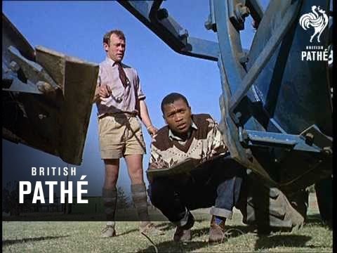 Out Takes / Cuts From Cp 686 - Reel 2 Of 2 - Emergent Africa (1968)