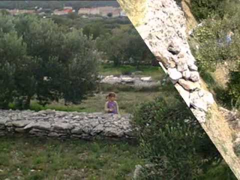 KLAPA ŠIBENIK - MASLINA JE GORA_