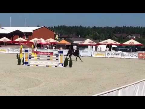 Colinero 2012 (Cola-Escudo) ZO Olsza 120