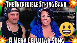 First Time Hearing The Incredible String Band - A Very Cellular Song (6 of 6) WOLF HUNTERZ REACITONS