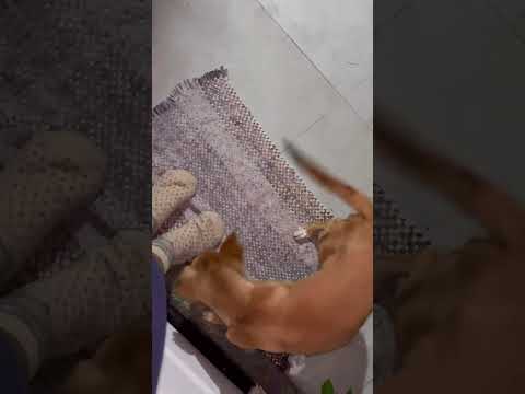 Vídeo de Kilo