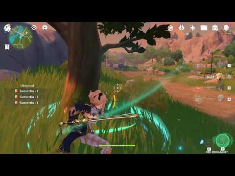 How to pick sunsettia or apples as Dandelion Tights