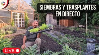 Siembras y trasplantes en directo desde el huerto