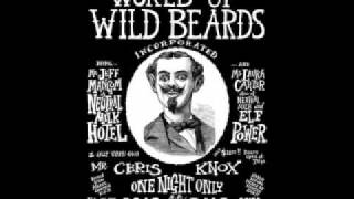 Neutral Milk Hotel - I Love How You Love Me