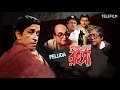 Sheyal Debota Rahasya 1996 Full Movie Benagli Teleflim Sabyasachi Chakrabarty Feluda
