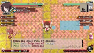 Touhou Genso Wanderer Gameplay look