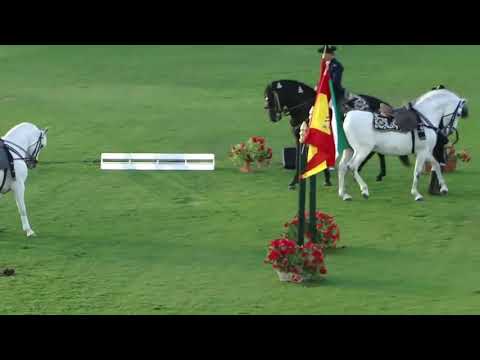 How The Andalusian Horses Dance  Show