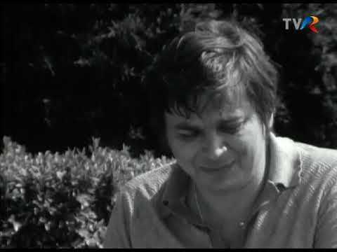 Interviu cu Nichita Stănescu