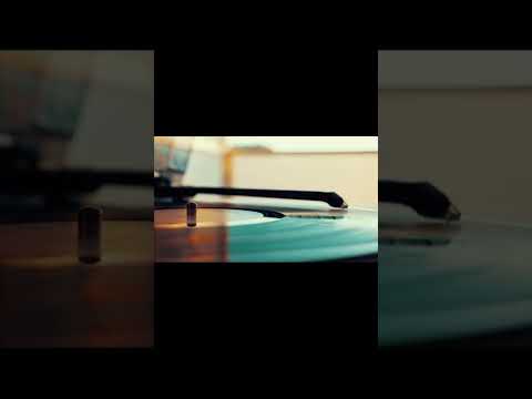 MagnusTheMagnus - Area #shorts