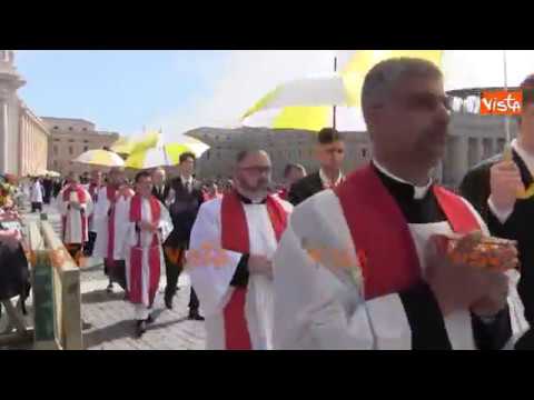 Domenica delle Palme, Piazza San Pietro gremita per la messa di Papa Francesco