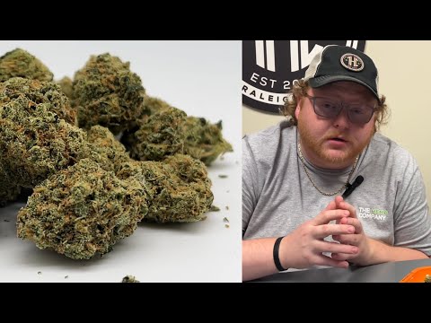 Durban Poison Strain Breakdown: The Uplifting Sativa You Need to Know