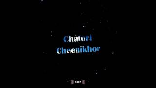 Download lagu Chanda Chamke Song Status mp3