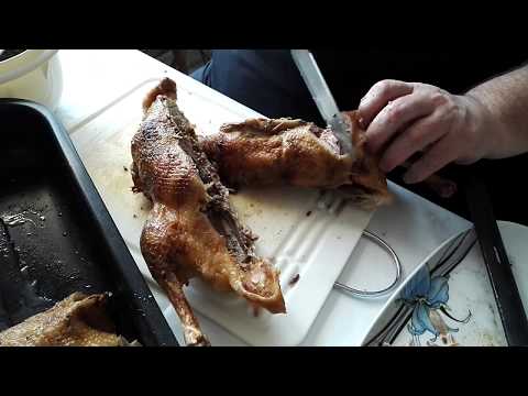 KramersFood - Ente gut alles gut