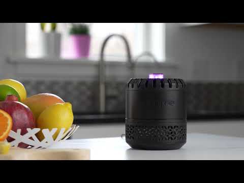 How to Use the DynaTrap Indoor Insect Trap