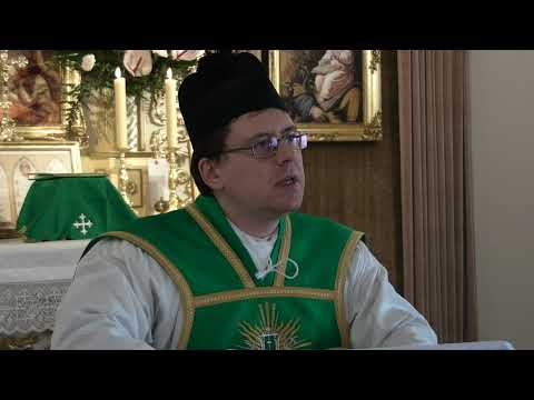 Ewangelia o końcu świata obrazem obecnego kryzysu w Kościele - kazanie ks. Piotr Dzierżak 20.11.2022