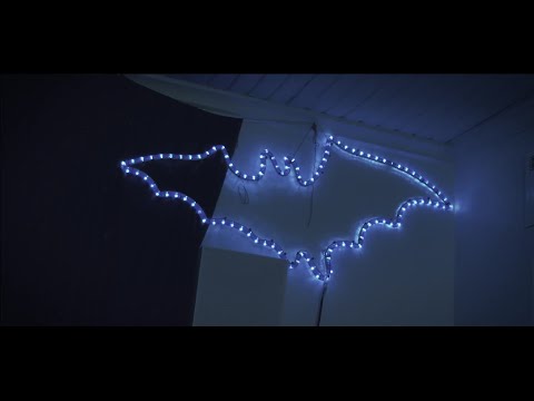 Delia St.Claire I - Vapaus Kaikille