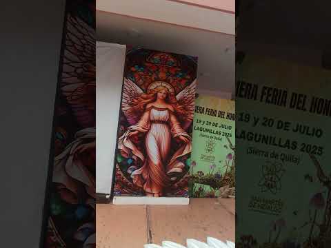 casa dela cultura de san martin hidalgo jalisco