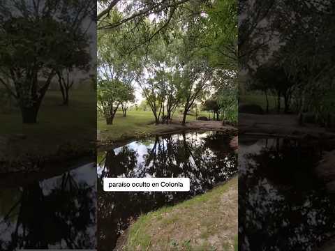 turismo rural, una joya oculta en Colonia, Uruguay