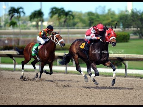GOING STRONG - Segunda Carrera - 24 Febrero 2019