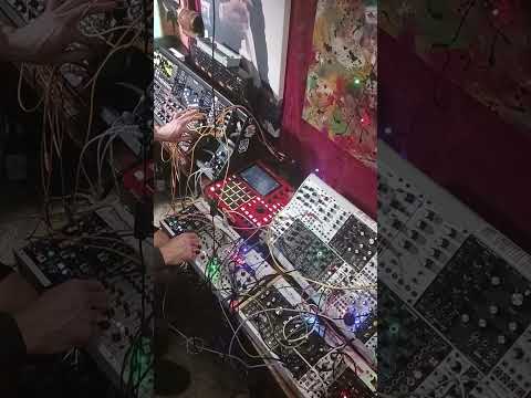 2HP SLICE #glitch #eurorack #melodic #ambient #noise #meditation #experiment #minimal #synth #flute