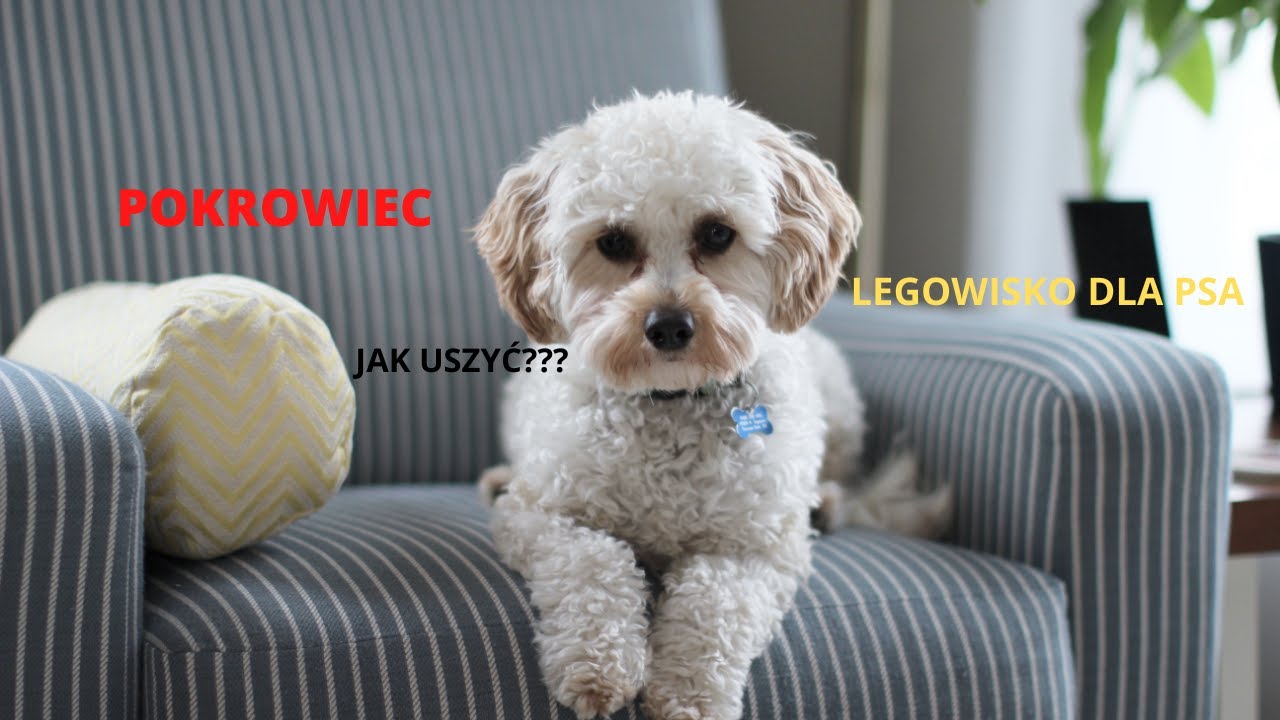 jak uszyć pokrowiec na legowisko dla psa