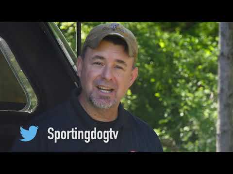 Teaching a Retriever a Double Mark Retrieve