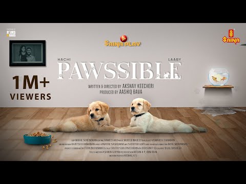 PAWSSIBLE | 4K | Akshay Keecheri | Johny Antony | Vineeth Sreenivasan | Mujeeb Majeed | Shortfilm