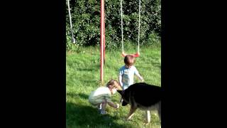 Schommelen daar zijn vrienden voor 2