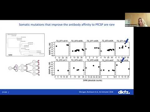 SCOG Virtual Lecture Series - Hedda Wardemann (DKFZ, Heidelberg)
