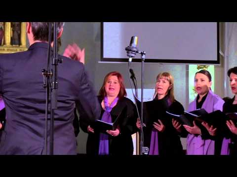 Ah žalosni dnevi - VA Samoborke