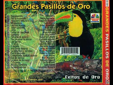 Grande Pasillos De Oro Alta Calidad de Audio WAV