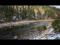 If I had to choose one stream in Idaho to fish, THIS IS IT!