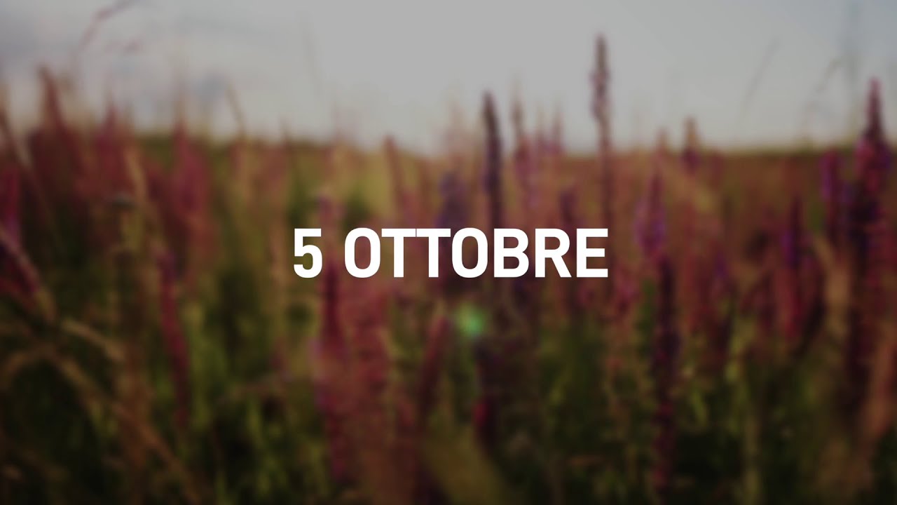 5 Ottobre 2025 | Meditazione Parole di Vita