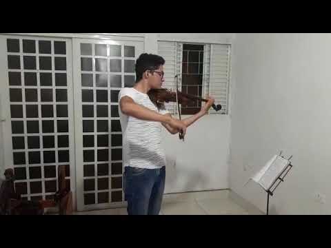violino rolim master Nacional