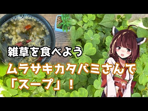 スイバ、カタバミ