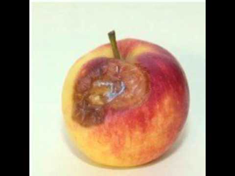 oilsjt carnavalmix 2010 mixed by the de rotte appel