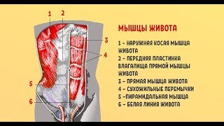 Золотое упражнение