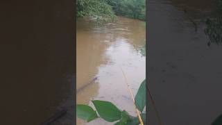 esperando o bruto sair #shorts