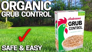 How to Get Rid of Grubs ORGANICALLY in the LAWN