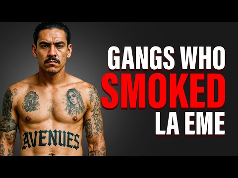 Der mexikanischen Mafia trotzen: Die Gangs, die La Eme herausforderten