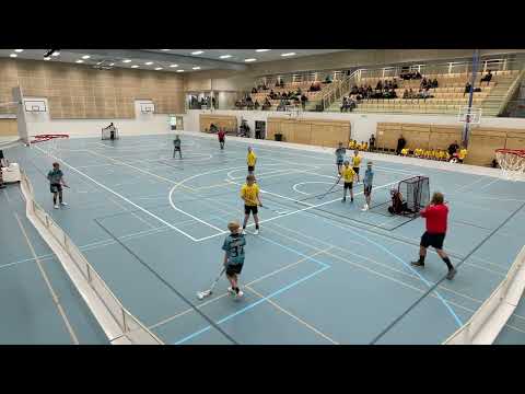 Pelicans SB - Welhot